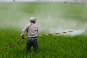 精力剤サプリの効果に関する最新の口コミは？