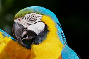 セラミドサプリの効果に関する口コミはどこで確認できる？