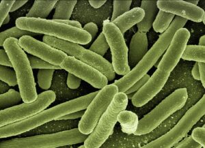 認知症患者における多剤併用のリスクとは何か？
