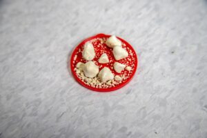 プロテインを摂取すると尿たんぱくが増えることあるの？