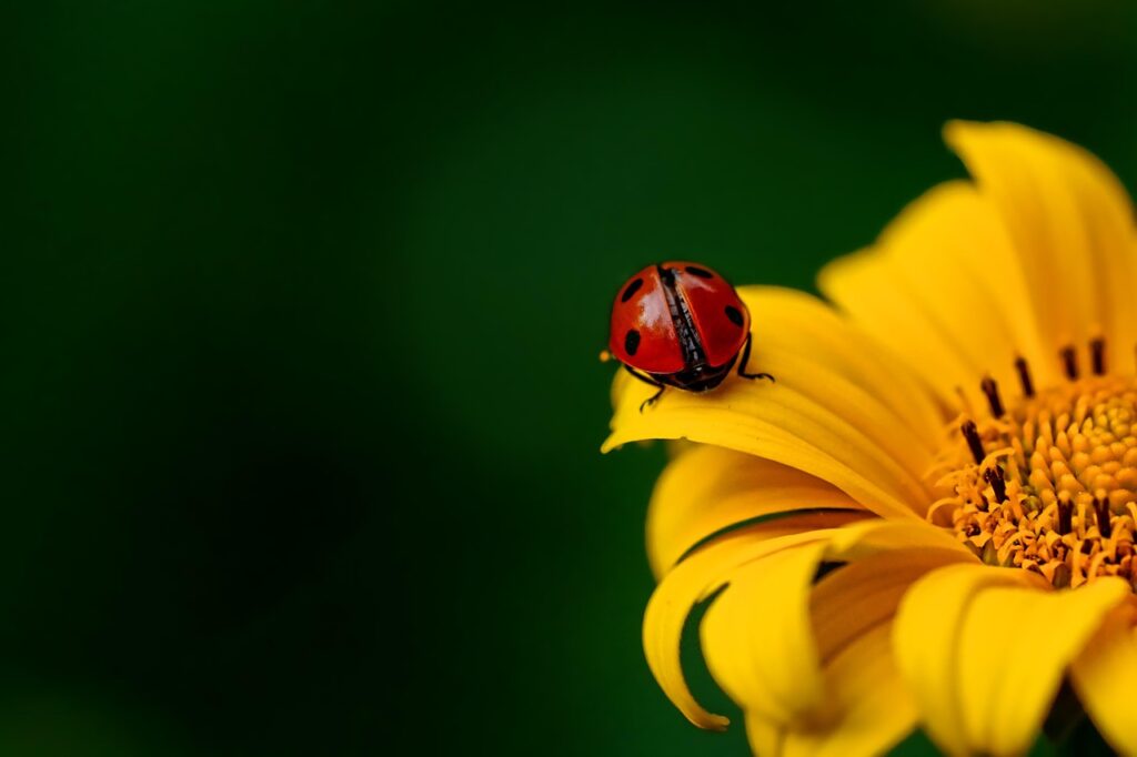 授乳中でも安心！花粉症の薬で眠気が少ないものはどれ？