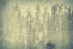 高齢者が薬を保存する際の温度の注意点とは？